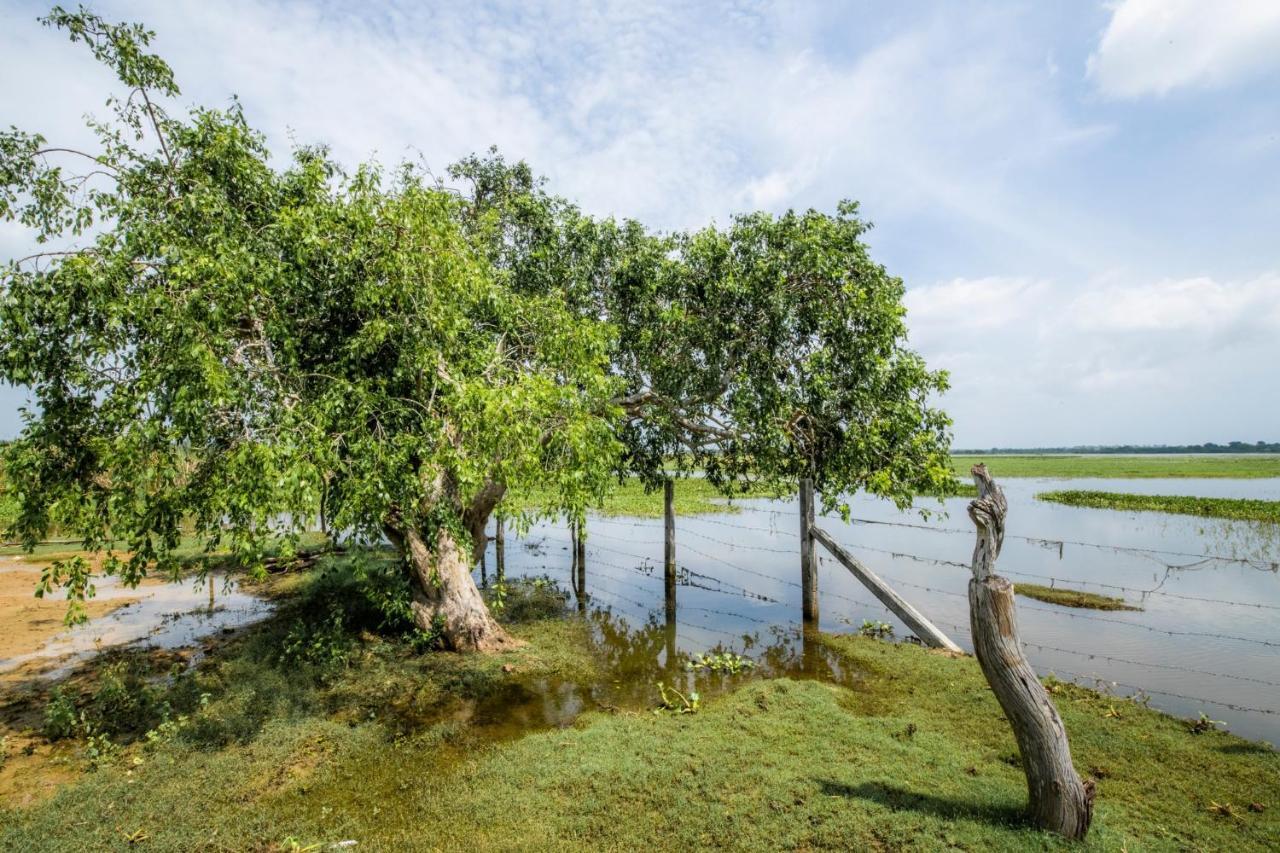 Chaarya Lake Hotell Tissamaharama Exteriör bild